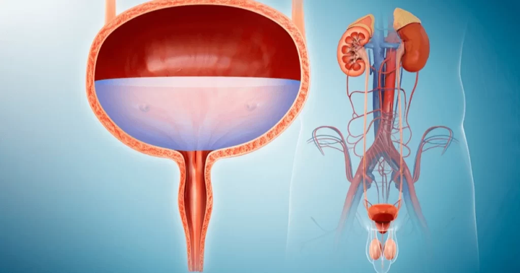 Urologist Palm Beach Gardens